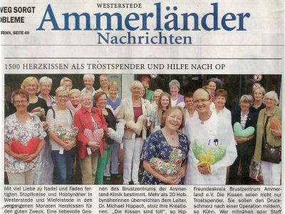 2013 08 03 AFK 1500 Herzkissen